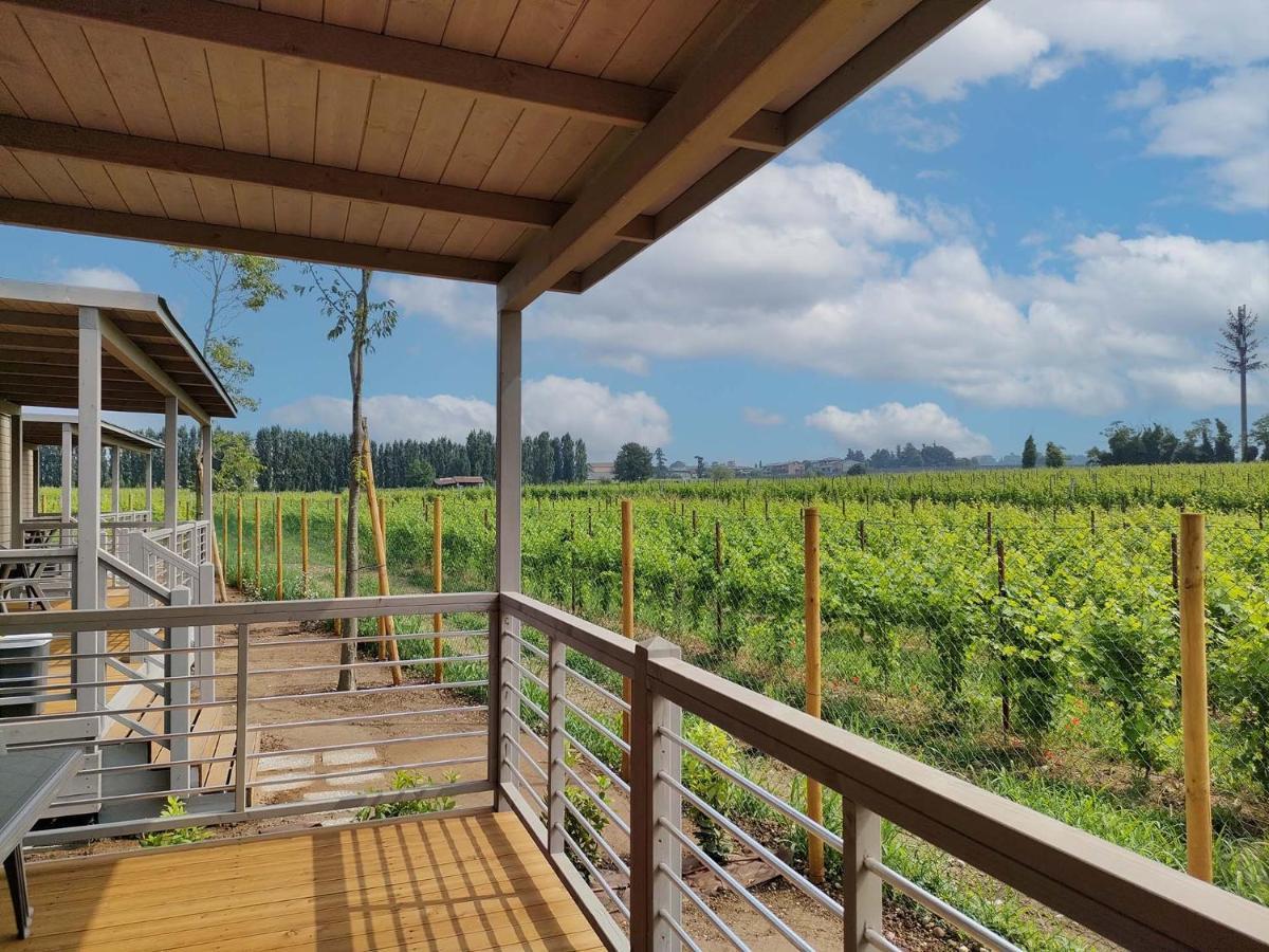 Garda Di Vino Agricamping & Wine Shop Lazise Ronchi  Luaran gambar